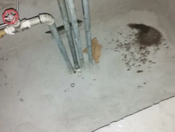 济源市卫生间测漏水价格明细